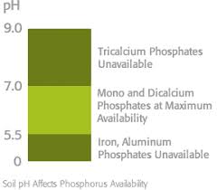 Efficient Fertilizer Use Guide Phosphorus Mosaic Crop
