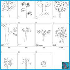 Baum tree test merupakan tipe tes yang diminta untuk menggambar sebuah pohon dengan kriteria dan jenis tertentu sesuai permintaan. Persiapan Psikotes Cpns Tes Baum Tree Test