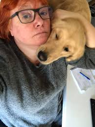 Happy Golden Retriever Day from Colorado