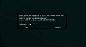 You have to enter the passphrase you choose when creating the key pair. T4198 Pinentry Doesn T Capture Input Correctly Crashes Terminal Instead