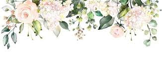 30 Off Ivory Blossoms Wallpaper Creamy Pink Floral Girl Nursery Wall Mural Coral White Rose Water Floral Illustrations Watercolor Flowers Blossoms Art
