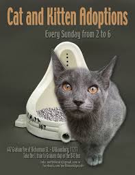 All pets are spay/neutered, chipped and vaccinated. R Mutt Kitten Adoption Cats And Kittens Muddy Paws
