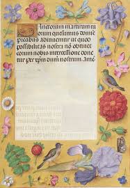 7 favorite flowers from renaissance manuscripts and their