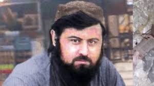 Killing of al-Qaeda, Taliban leaders together proves groups' ongoing ties