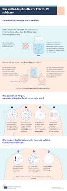 Messenger rna, or mrna, plays a fundamental role in human biology, transferring the instructions stored in dna to make the proteins required in every living cell. Wie Mrna Impfstoffe Vor Covid 19 Schutzen Consilium