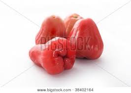 Check spelling or type a new query. Jambu Air Merah Images Illustrations Vectors Free Bigstock