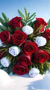 BONITA TARDE, BENDICIONES 🙏