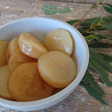 A kombucha scoby is a home for the bacteria and yeast that eventually turn into kombucha. Organic Kombucha Scoby Gift Of Our Earth