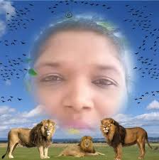 Looking for clutch cylinder d22 Foreign used.