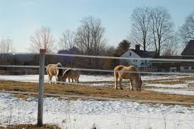 Portland, bangor and augusta are among the best places to live in maine. 15 Best Places To Live In Maine The Crazy Tourist