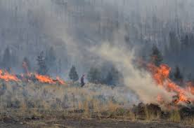 The fire is considered out of control. Tremont Creek Wildfire Now Mapped At 27 624 Hectares Continues To Move Northeast Bc Wildfire Service Says Kamloops News Castanetkamloops Net