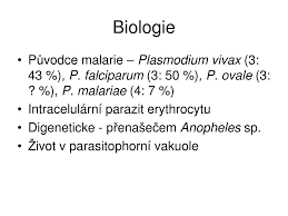 > morfologie původce malárie tropica v obarví krvi. Ppt Plasmodium Sp Powerpoint Presentation Free Download Id 6082282