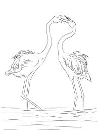 Cute flamingo coloring in sheets to print out. Flamingo Coloring Pages 100 Pictures Free Printable