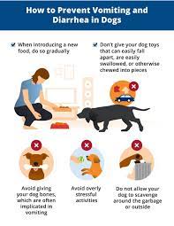 Vomiting And Diarrhea In Dogs Canna Pet Diarrhea In Dogs Best Dog Food How To Cure Diarrhea