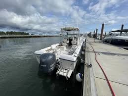 Image result for Oxford White 1992 Explorer