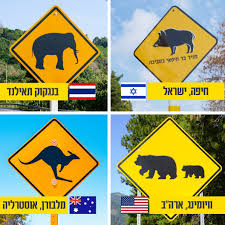 עיריית חיפה - בדיוק כמו בארה"ב 🇺🇸 אוסטרליה 🇦🇺 ותאילנד 🇹🇭... | Facebook