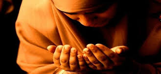 Memang aku ambik catering ni je. Pin Di Nasihat