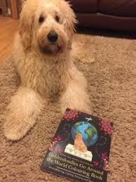 Beautiful mini horse miniature grade math linear. Goldendoodles Colouring Book No 1 Amazon Bestseller