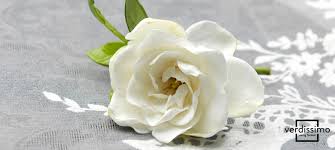 Nomi Dei Fiori Quali Sono I Loro Significati Verdissimo