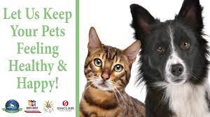 The number of vaccinations increases significantly and the rate of new cases even increases a bit before it starts dropping. Low Cost Pet Wellness And Vaccination Clinic Sicsa