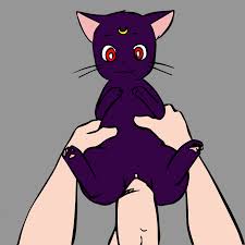 Rule 34 Dev - 16:9 a_cat_is_fine_too animated bed  bishoujo_senshi_sailor_moon dark_body dark_fur domestic_cat duo  faceless_male felid feline felis female female_penetrated feral  feral_penetrated frame_by_frame fur furniture furry hi_res human ...