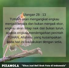 Oke langsung saja, ini dia! Kata Kata Mutiara Di Pagi Hari Islami
