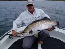 Pemijahan induk kakap putih berlangsung secara. Tehnik Dasar Mancing Ikan Kakap Putih Barramundi Home Sweet Home