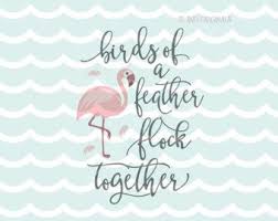 Birds Of A Feather Flock Together Song Flamingo Quote Svg Birds Of A Feather Flock Together Svg Cricut Explore More Flamingo Feather Birds Of A Feather Fl Flamingos Quote Bird Feathers Svg Quotes