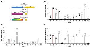 Image result for Gold 1997 AAV