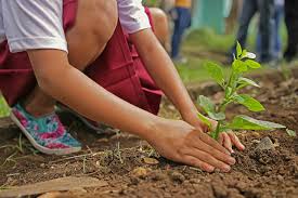 For this world environment day 2021, the unep (united nations environment programme) have published a however you choose to get involved for world environment day, you can share your efforts on social media using the hashtags #generationrestoration and #worldenvironmentday. World Environment Day 2021