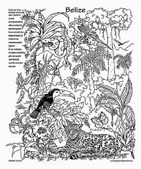 We did not find results for: Tropical Rainforest Coloring Pages