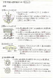 ボード 学習ノート のピン