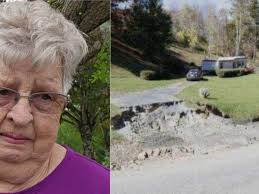 Fundraiser by Kelly Ellis : Support Mona Clark's Return to Her Beloved Home