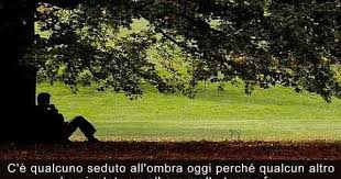 Numa tempesta is a fascinating, charismatic, and yet ruthless businessman, who will stop at nothing to close his deals, even if it means bending the law. Aforismario Aforismi Frasi E Proverbi Sugli Alberi