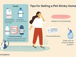 It has a pleasant smell and residual dries quickly after you wipe it up. Get Rid Of Dog Pee And Cat Urine Odors
