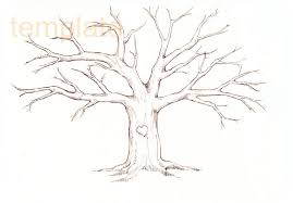 Oct 23, 2018 · 26. Easy To Draw Tree Without Leaves Novocom Top