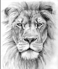 We did not find results for: Realistic Lion King Full Body Lion Drawing Novocom Top