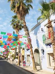 The Art Lovers Guide To San Jose Del Cabo Domino San Jose Del Cabo Cabo Vacation Cabo San Lucas Mexico