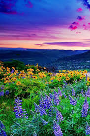 Lush Landscape Wallpaper Landscape Spring Iphone Wallpaper Flowers Photography Wallpaper Landscape Wallpaper Photography Wallpaper