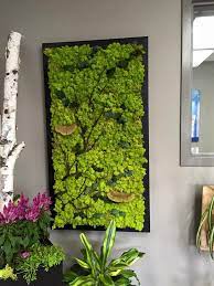 We help bring biophilic design aspirations to life while eliminating the hassles of living walls. Fabulous Custom Made Moss Wall With Branches And Natural Elements Mosswall Instagram Greenerycalgary Moss Wall Art Plant Wall Moss Wall