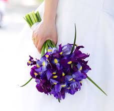 Pin By Marisa Warner On Flowers Iris Wedding Flowers Iris Wedding Iris Bouquet