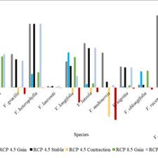 Image result for Vigna laurentii