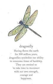 The word dragonfly and the family it belongs to, odonata, have evolved from the many myths associated with dragonflies and their taxonomic cousins, the damselflies. What Is The Meaning Of Dragonfly Tattoos Dragonfly Quotes Dragonfly Tattoo Inspirational Quotes