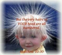 Readings, announcements for June 25, 2017: livingwordml — LiveJournal