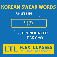 Korean Curse Words | 10 Most Used Korean Swear Words (With Quiz)