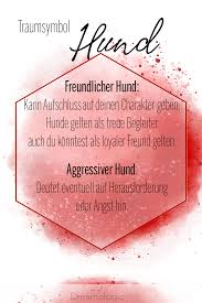 Bei Der Frage Lieber Hund Oder Katze Scheiden Sich Die Gemuter Egal Was Du Bevorzugst Begegnet Dir Ei Facts About Dreams Business Person Blog Posts