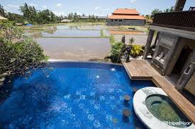Pin On Ubud