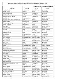 All About Rare Animals Unique Animals And More Endangered Animals List 2020