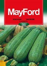 Grow The Best Baby Marrows Growing Vegetables Plant Care Growing