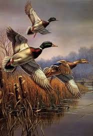 Pin By Ismaelmoyers On Mix J Hunting Art Wildlife Paintings Duck Art